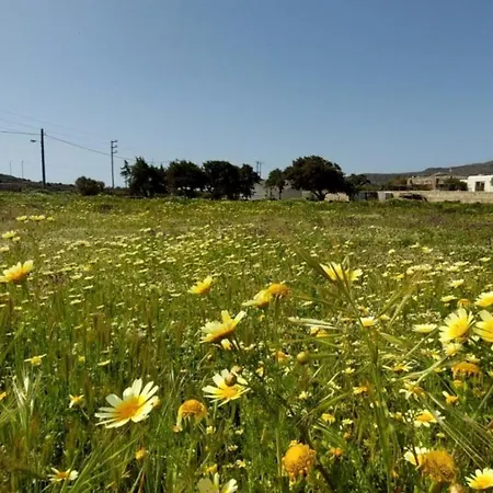 Casa De Achivadolimni Provatas